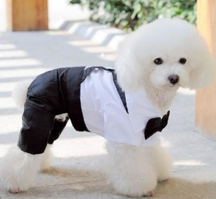 Pet Costumes Handsome Dog Rompers Clothing